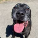 Photo of Bullet