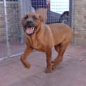 Photo of Maverick