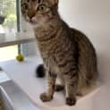 Photo of Luna