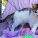 Photo of Tanya