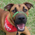 Photo of Jerome