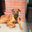Photo of Jerome