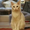 Photo of Lucy