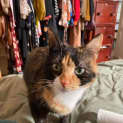 Photo of Choccy
