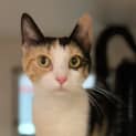 Photo of Jewel 