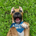 Photo of Queenie