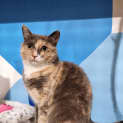 Photo of Maggie