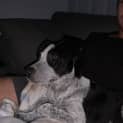 Photo of Nelly
