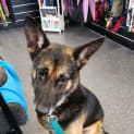 Photo of Gunnar