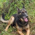 Photo of Gunnar
