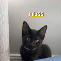Photo of Floss