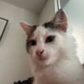 Photo of Hugo