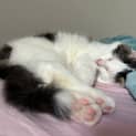 Photo of Hugo