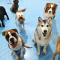 Photo of Cortez