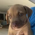 Photo of Jax