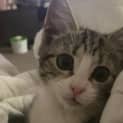Photo of Spooki