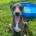 Photo of Elsa