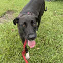 Photo of Janie