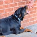 Photo of Kiahlee