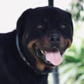 Photo of Kiahlee