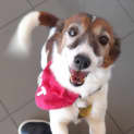 Photo of Raso