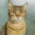 Photo of Stanley