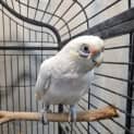 Photo of Baby
