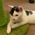 Photo of Mr Moo