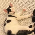 Photo of Mr Moo