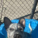 Photo of Murphy