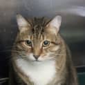 Photo of Pudda