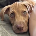 Photo of Ralph