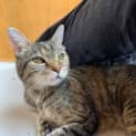 Photo of Alice
