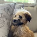 Photo of Tiggy