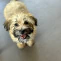 Photo of Tiggy