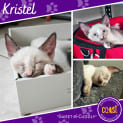 Photo of Kristel