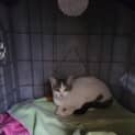 Photo of Sally
