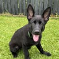 Photo of Athena