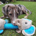 Photo of Aero