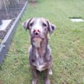 Photo of Aero