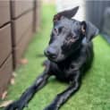 Photo of Beryl
