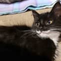 Photo of Maggie