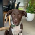 Photo of Charlie