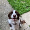 Photo of Lulu