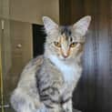 Photo of Eira