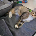 Photo of Eira