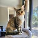 Photo of Eira