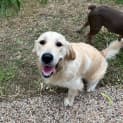 Photo of Abbie