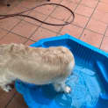 Photo of Abbie