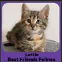Photo of Lettie